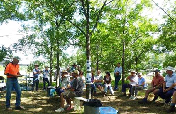 Martindale Creek Catchment Landcare – Woody Weeds Workshop