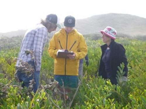 Connecting Coastal Vegetation and Volunteers from Leggy Point to Burwoord Beach