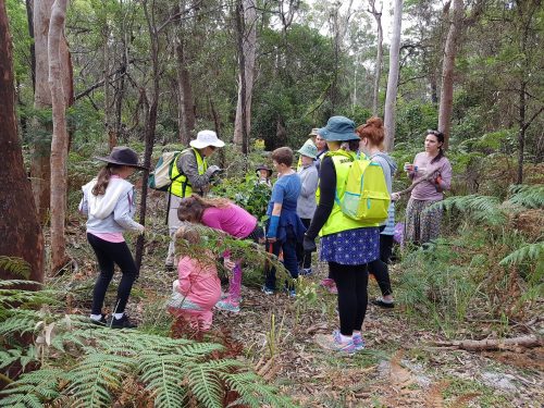 All Ages Wowed by the Magic of Mambo Wetlands