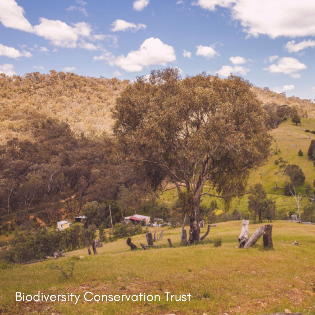 What is the Biodiversity Conservation Trust all about and how can Landcarers benefit?