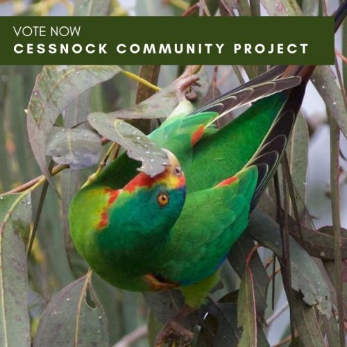 My Community Project – Cessnock