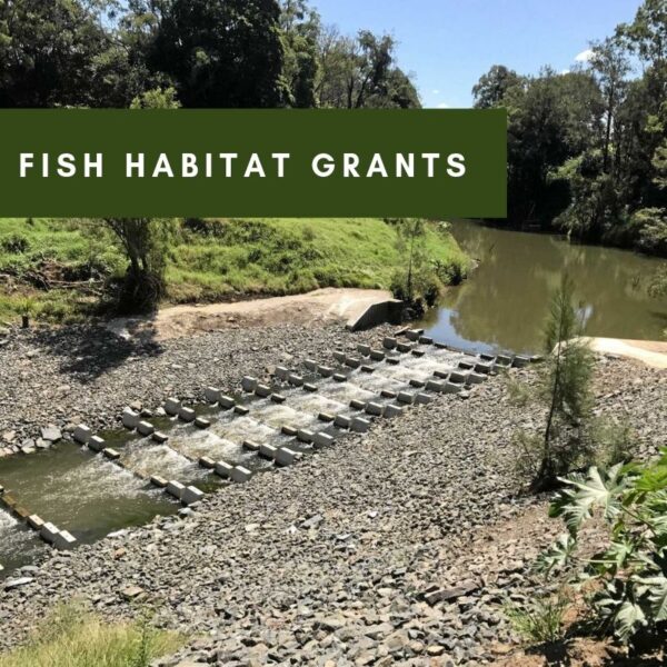 Fish Habitat Grants