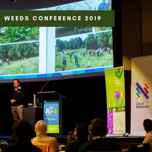 Reflection: Weeds Conference
