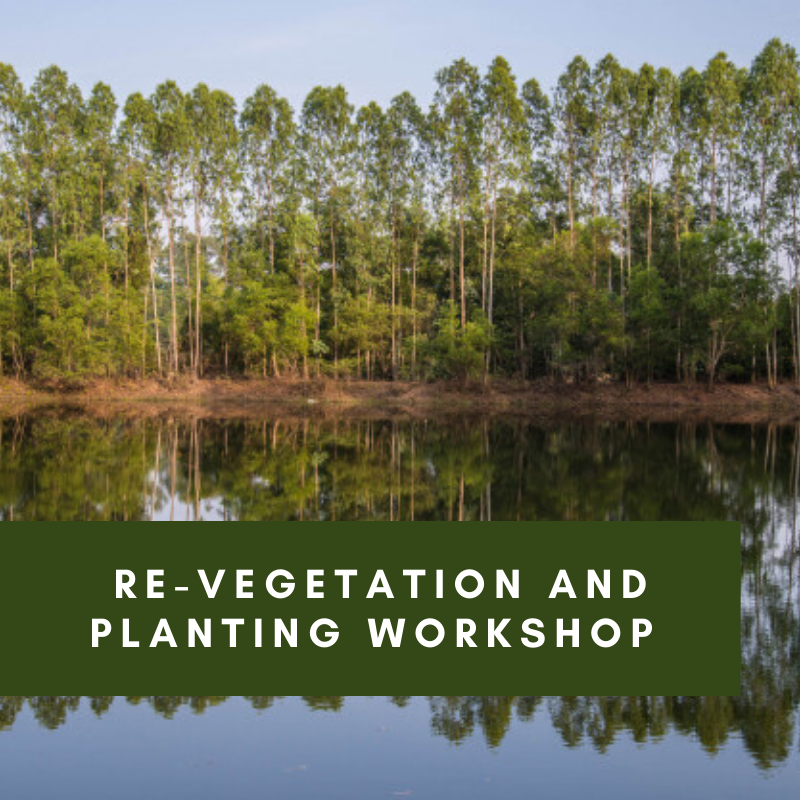 Re-vegetation and planting workshop