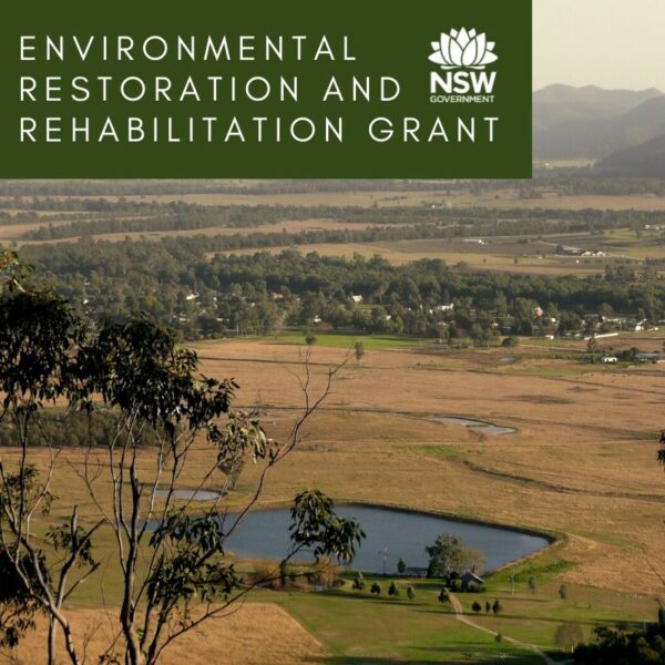 Environmental Restoration and Rehabilitation