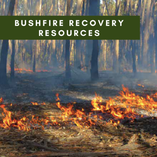 Bushfire Recovery Resources