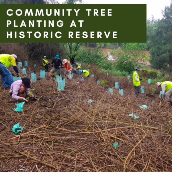 Community tree planting at historic reserve
