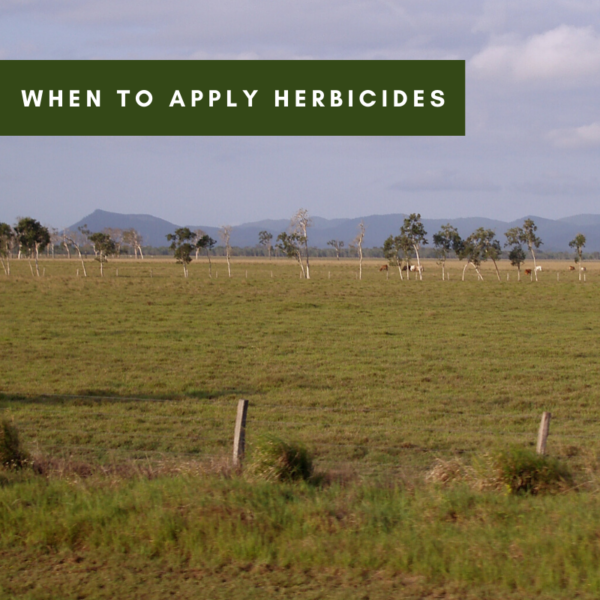 When To Apply Herbicides