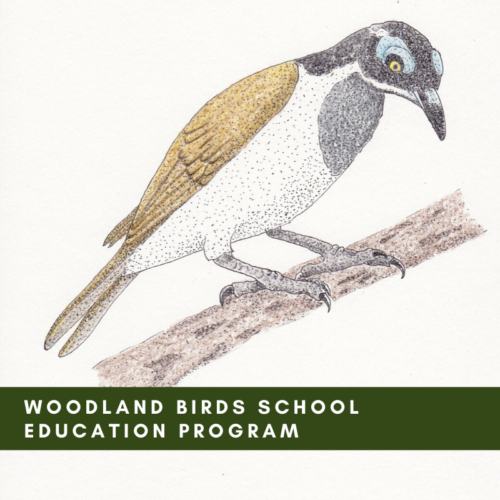 Woodland Birds School Education Program