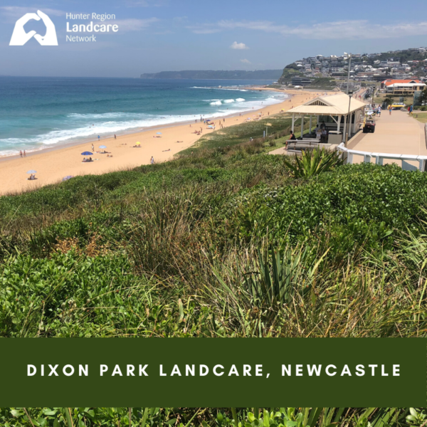 Dixon Park Landcare, Newcastle