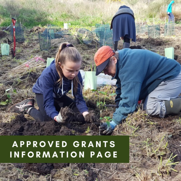 Approved Grants Information Page