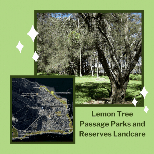 Lemon Tree Passage Parks and Reserves Landcare