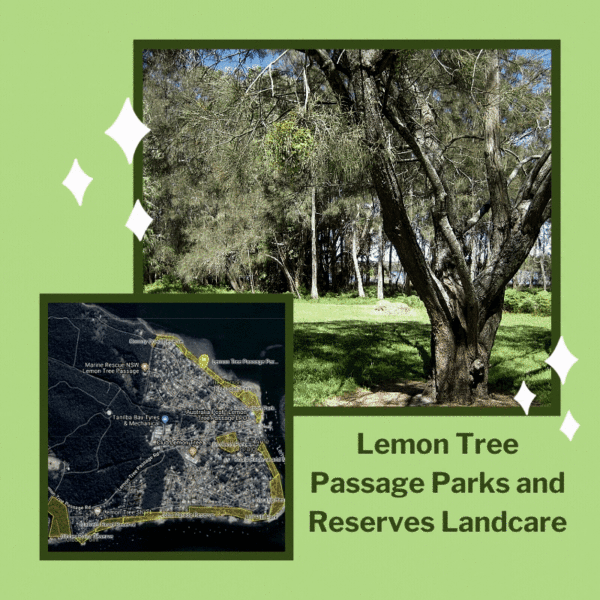 Lemon Tree Passage Parks and Reserves Landcare