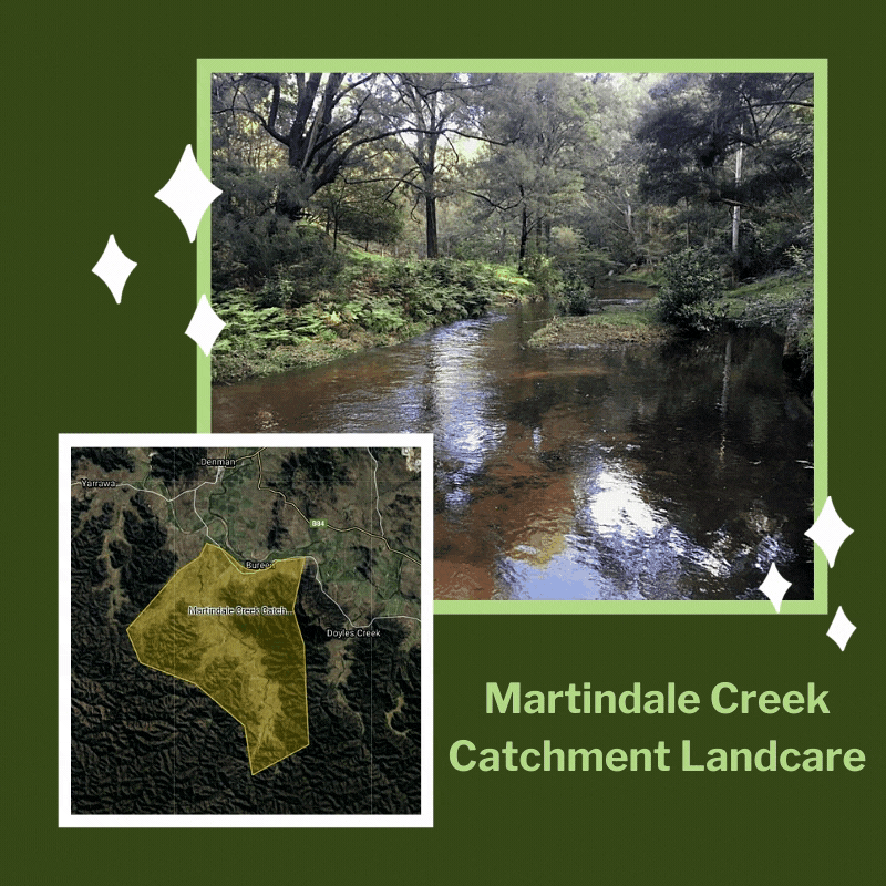 Martindale Creek Catchment Landcare
