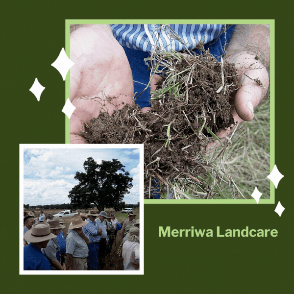 Merriwa Landcare