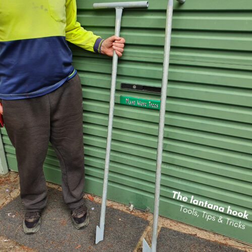 Tools, Tips and tricks: The lantana hook (credit Dungog Commoners Landcare)
