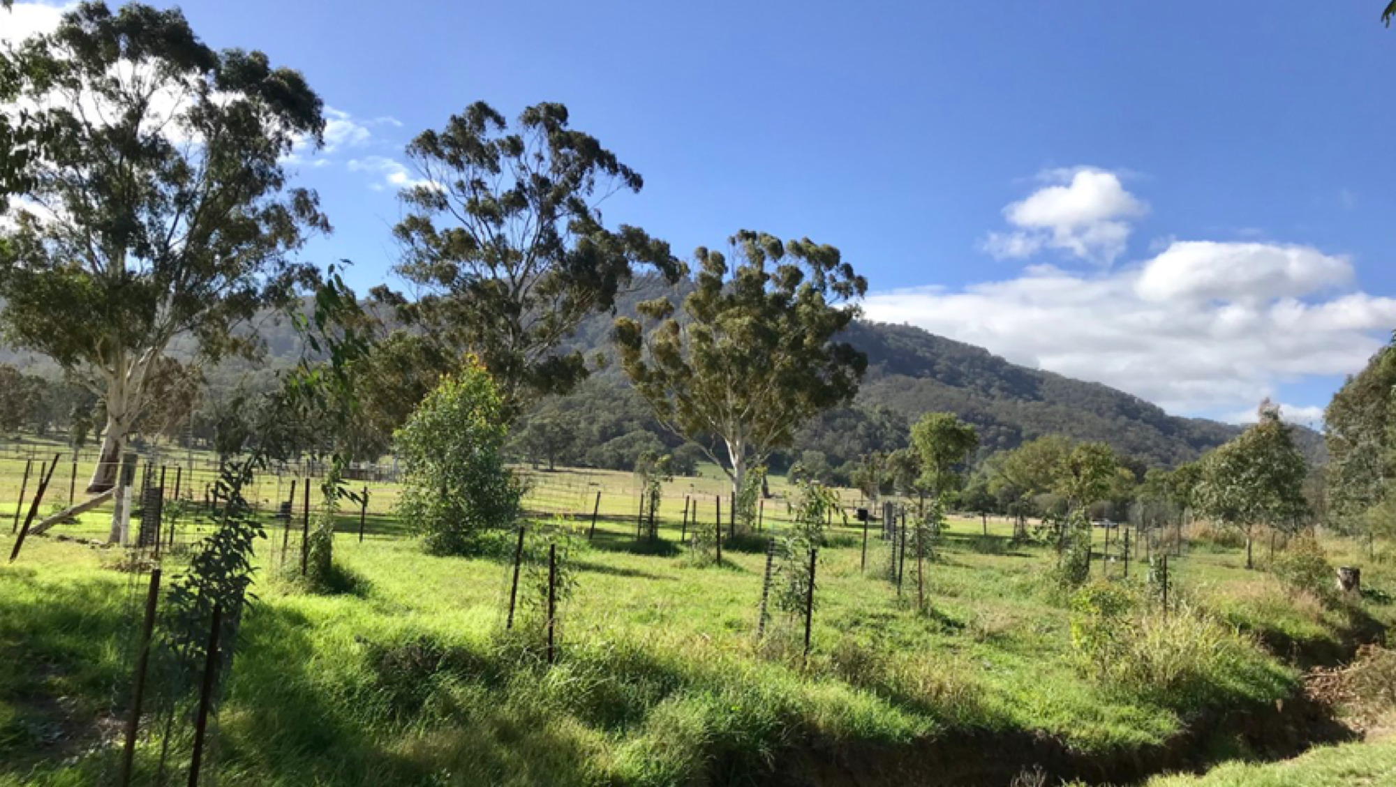 Murrurundi Landcare (Pages River Warriors) Hunter Region Landcare Network