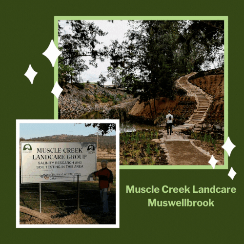 Muscle Creek Landcare, Muswellbrook