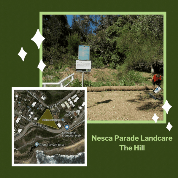 Nesca Parade Landcare, The Hill