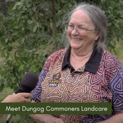 Meet Dungog Commoners Landcare