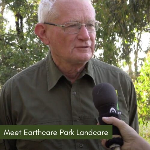 Meet Earthcare Park Landcare