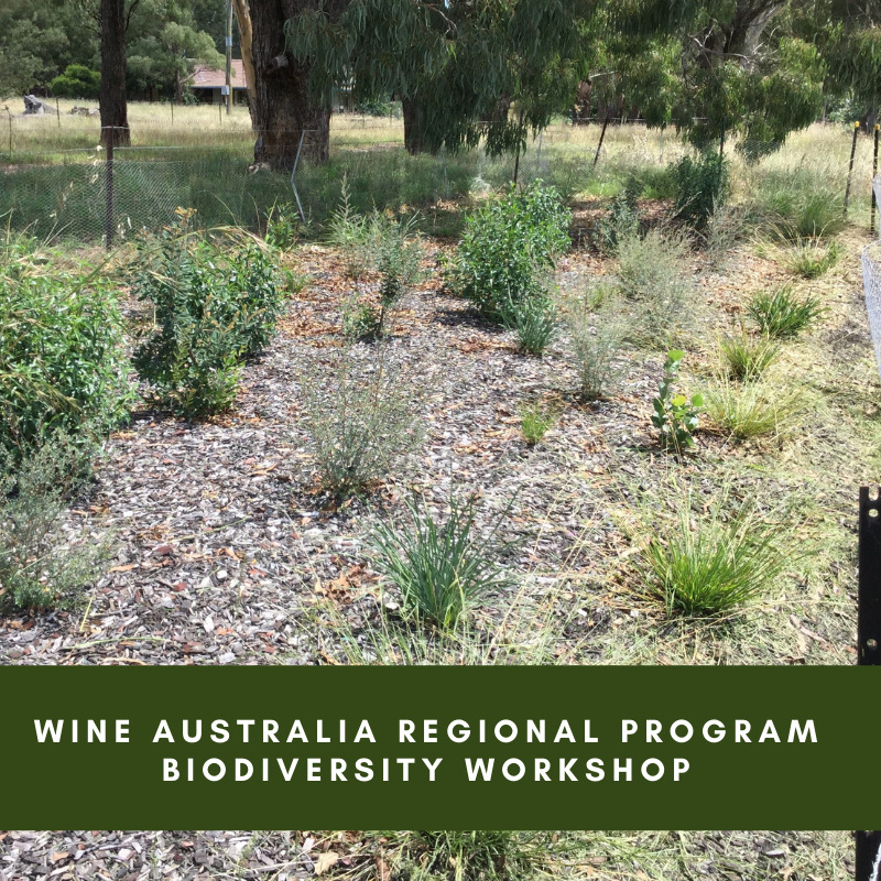 NSW DPI Vineyard Biodiversity, Sustainability and Biosecurity Workshop and Field Walk