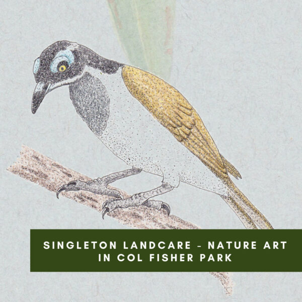 Singleton Landcare – Nature Art in Col Fisher Park