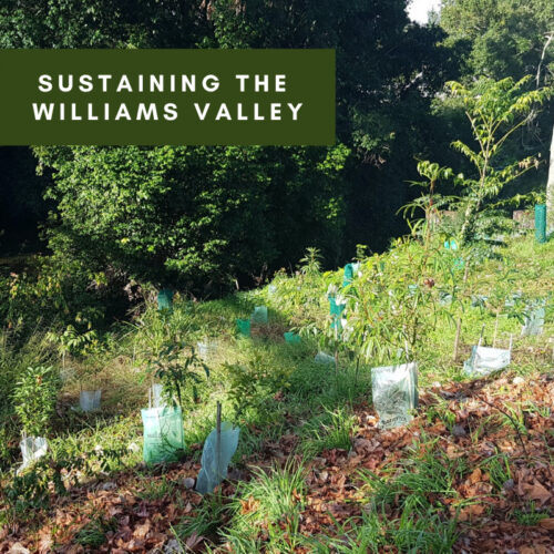 Sustaining the Williams Valley Group