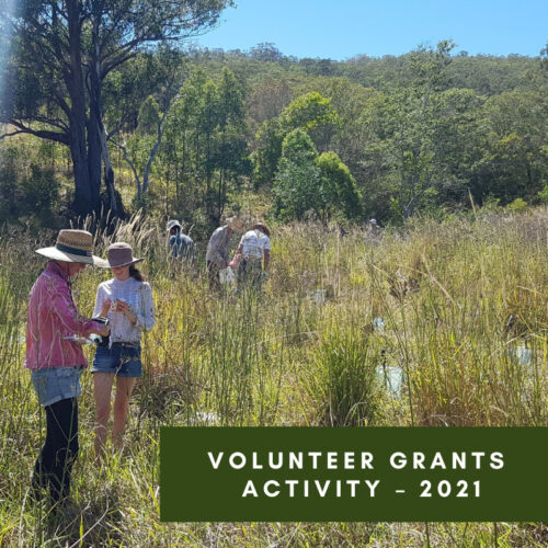 Volunteer Grants Activity – 2021 Volunteer Grants through your local Federal MP