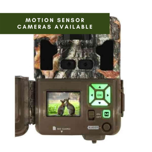 Motion sensor cameras available