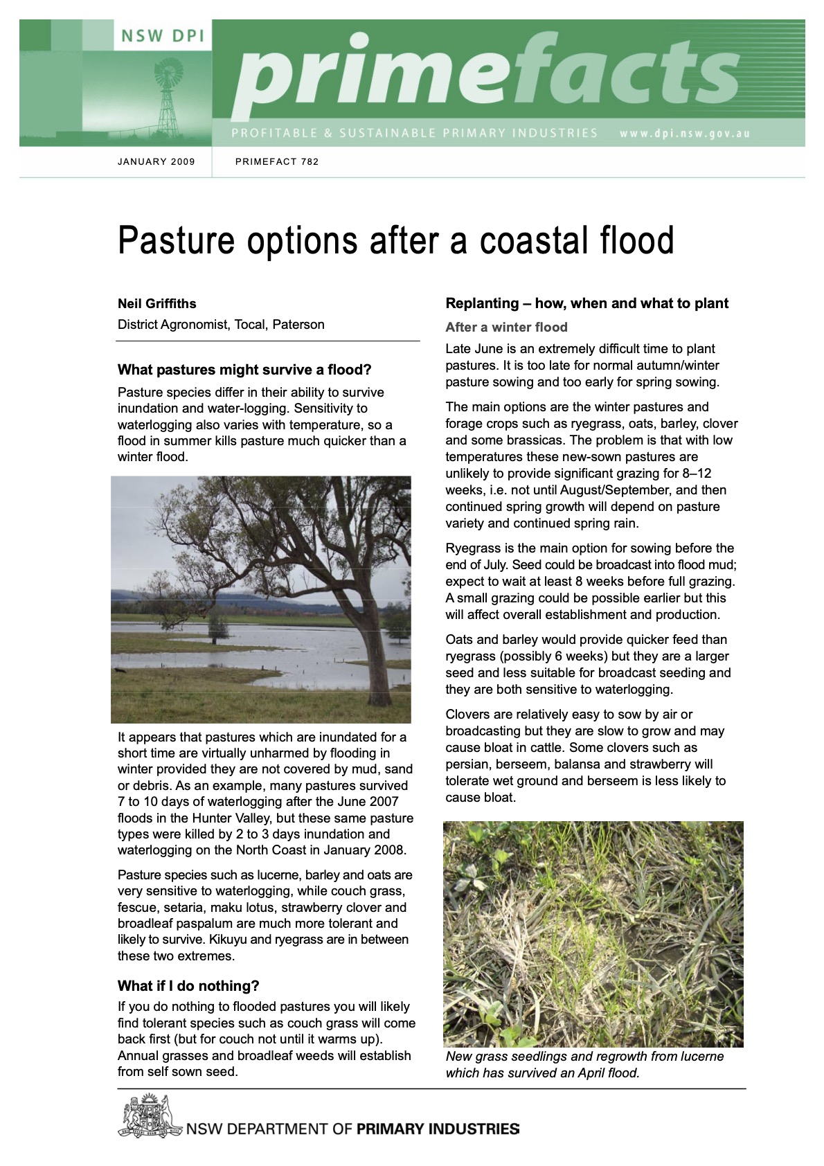 Pasture-options-after-a-coastal-flood