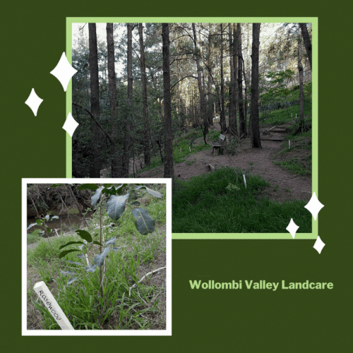 Wollombi Valley Landcare