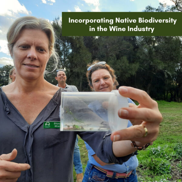Incorporating Native Biodiversity in the Wine Industry