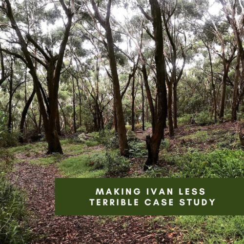 Hunter Region Landcare Network Making Ivan less Terrible Case Study