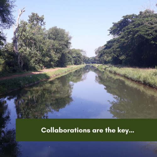 Collaborations are the key…