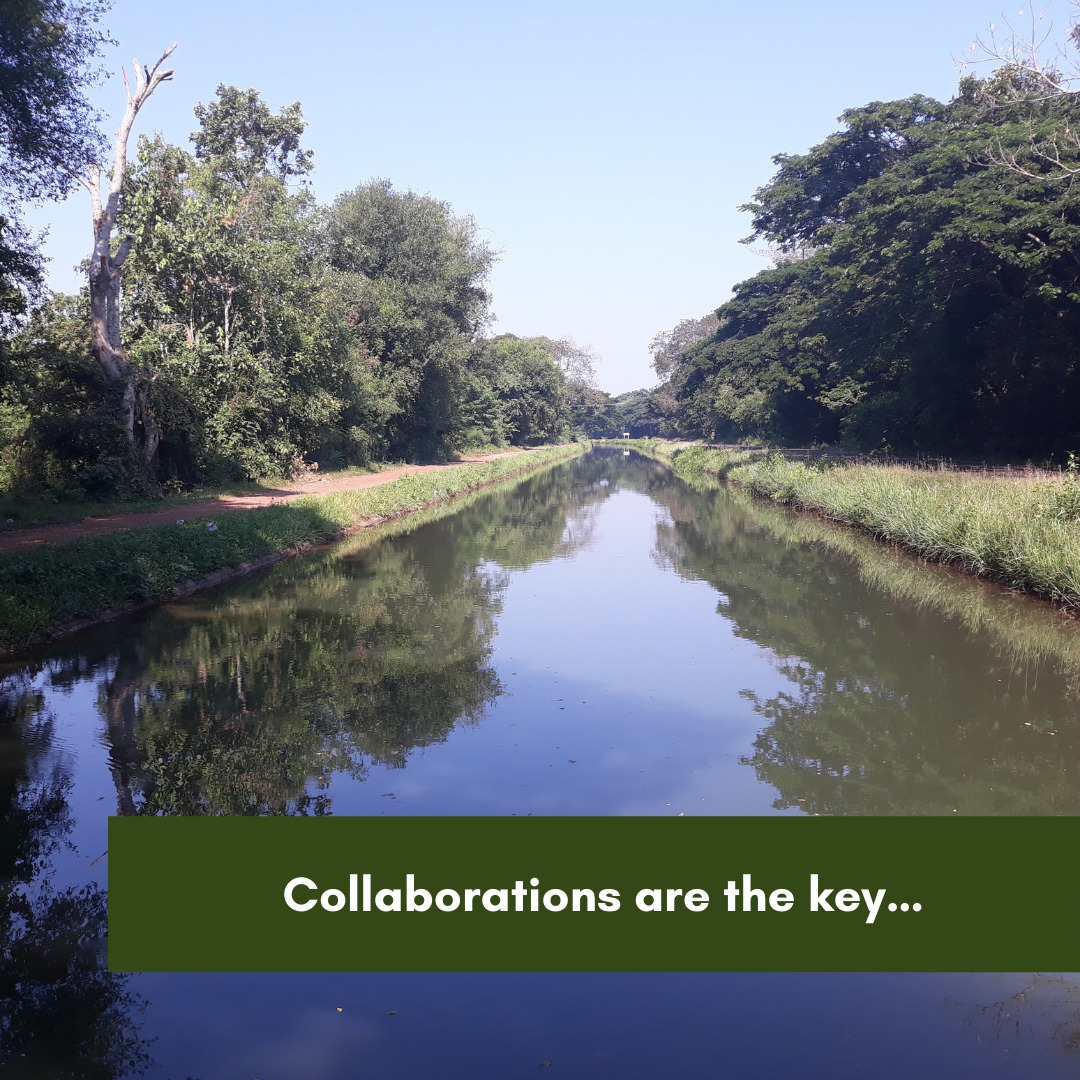 Collaborations are the key…-2