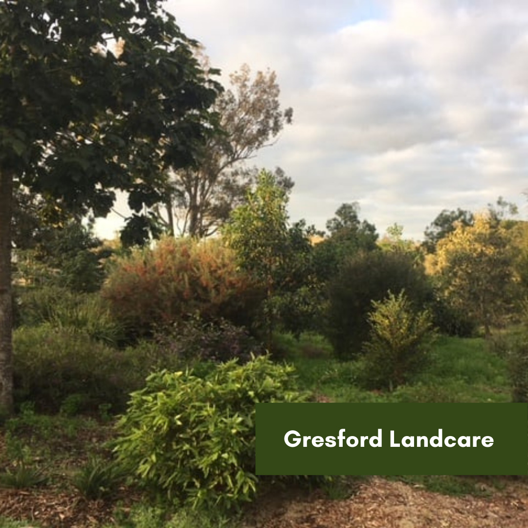 Gresford Landcare Video Launch-2