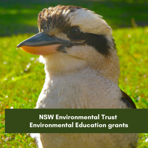 NSW Environmental Trust Environmental Education grants