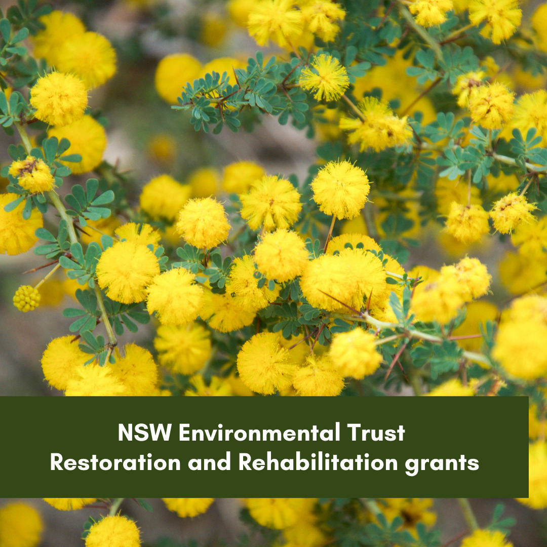 NSW Environmental Trust Restoration and Rehabilitation grants