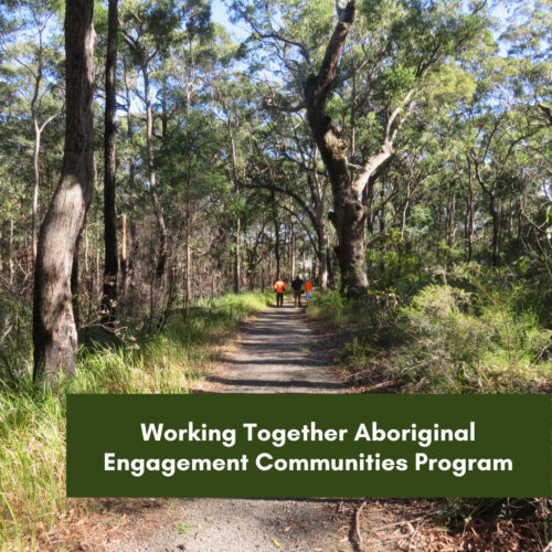 Working Together Aboriginal Engagement Communities Program