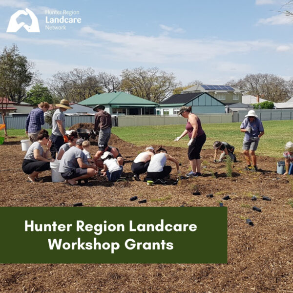 Hunter Region Landcare Network Workshop Grants 2021-22 for Member Groups