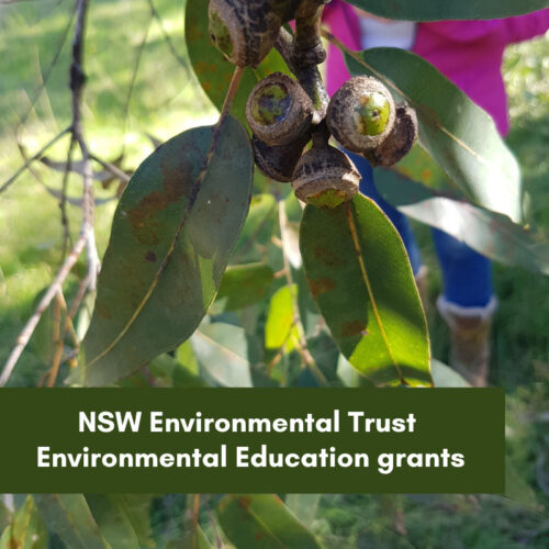 New NSW Environmental Trust Environmental Education Grants