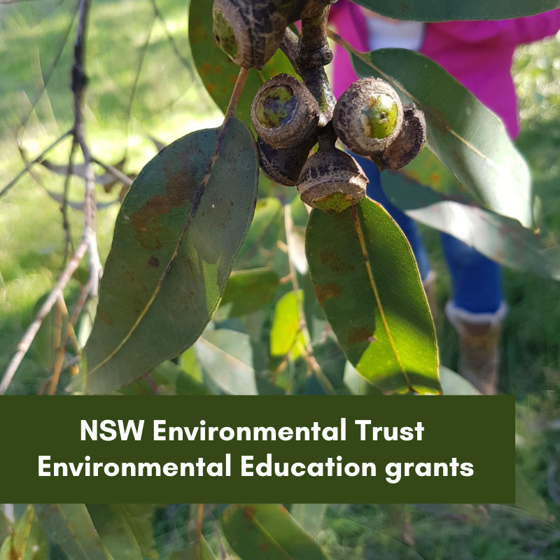 NSW Environmental Trust Environmental Education grants-2