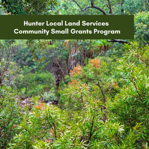 Hunter Local Land Services Community Small Grants Program