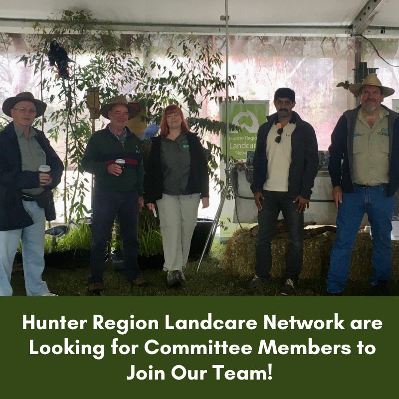 Hunter Region Landcare Network are looking for committee members to join our team!