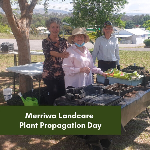 Merriwa Landcare Plant Propagation Day