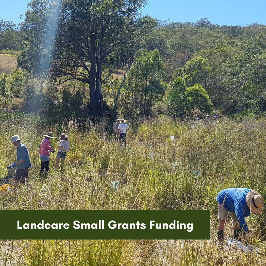 Landcare Small Grants Funding
