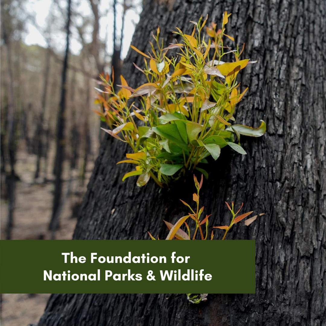 The Foundation for National Parks & Wildlife Grant