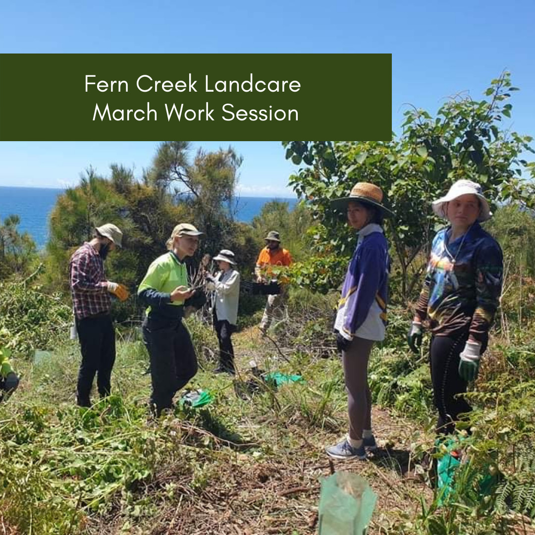 Fern Creek Landcare March Work Session