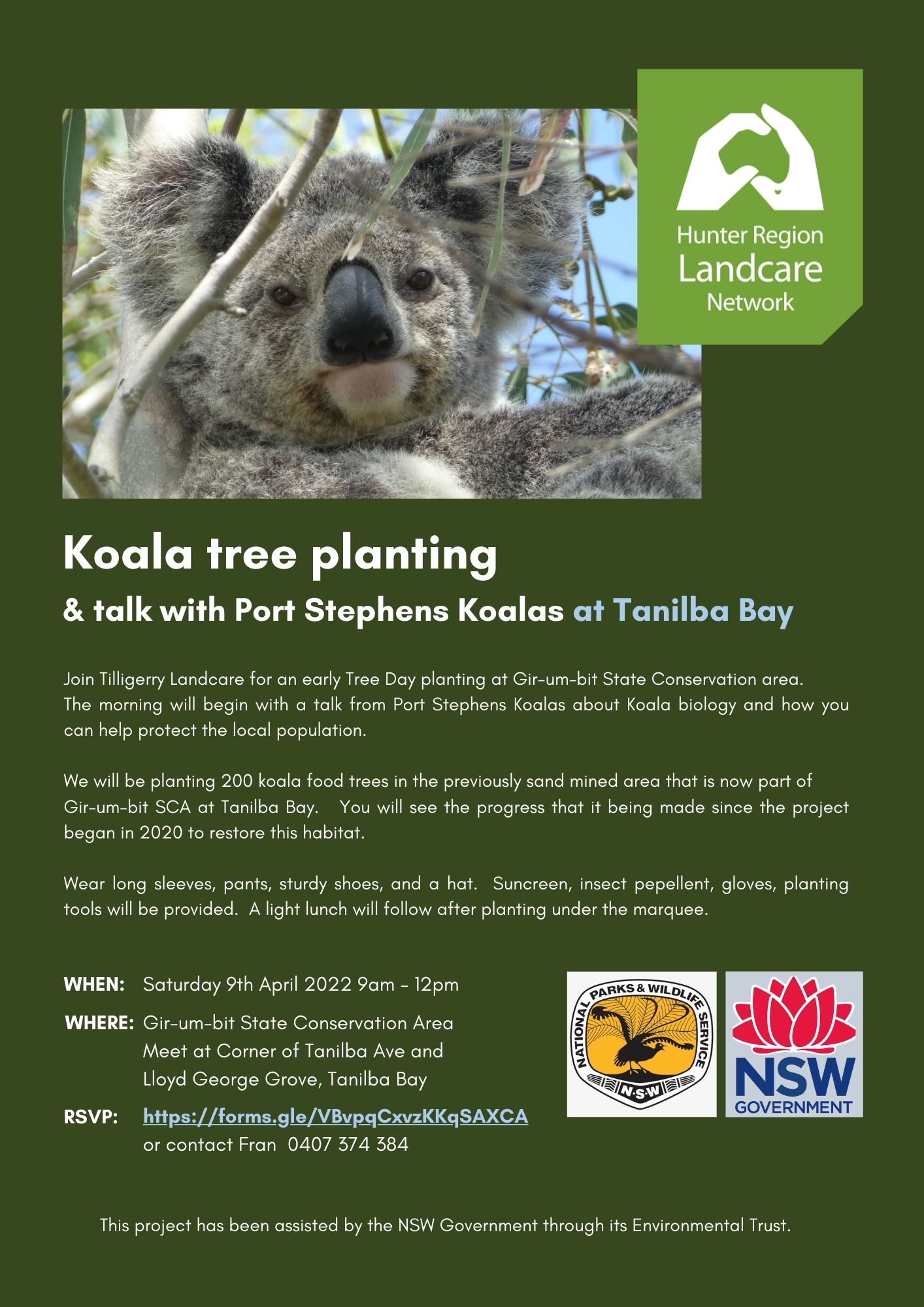 Koala Tree planting HRLN